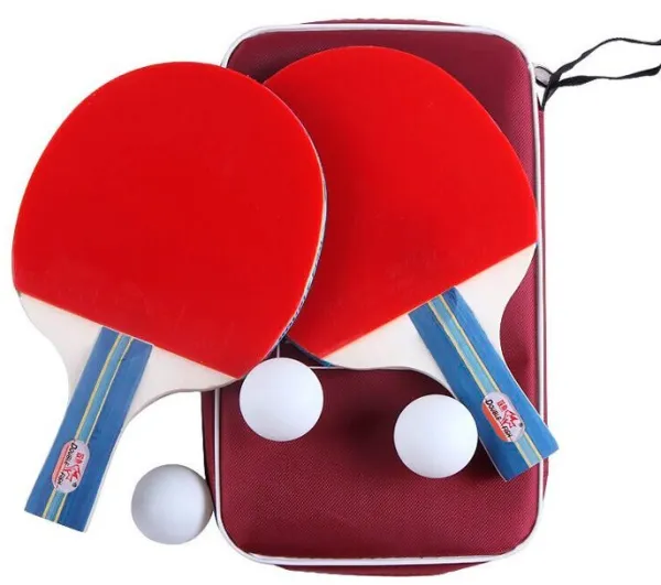 Double Fish 236A 2* Table Tennis Set
